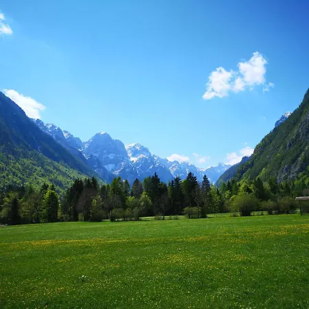 Apartma Lucijana * Mojstrana