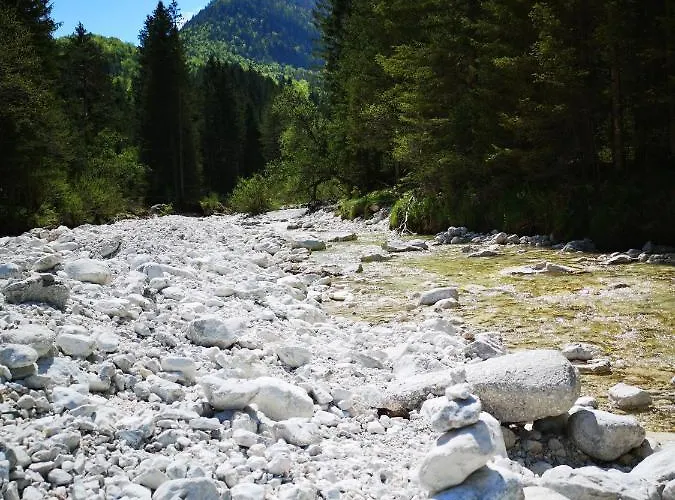Apartma Lucijana מויסטראנה